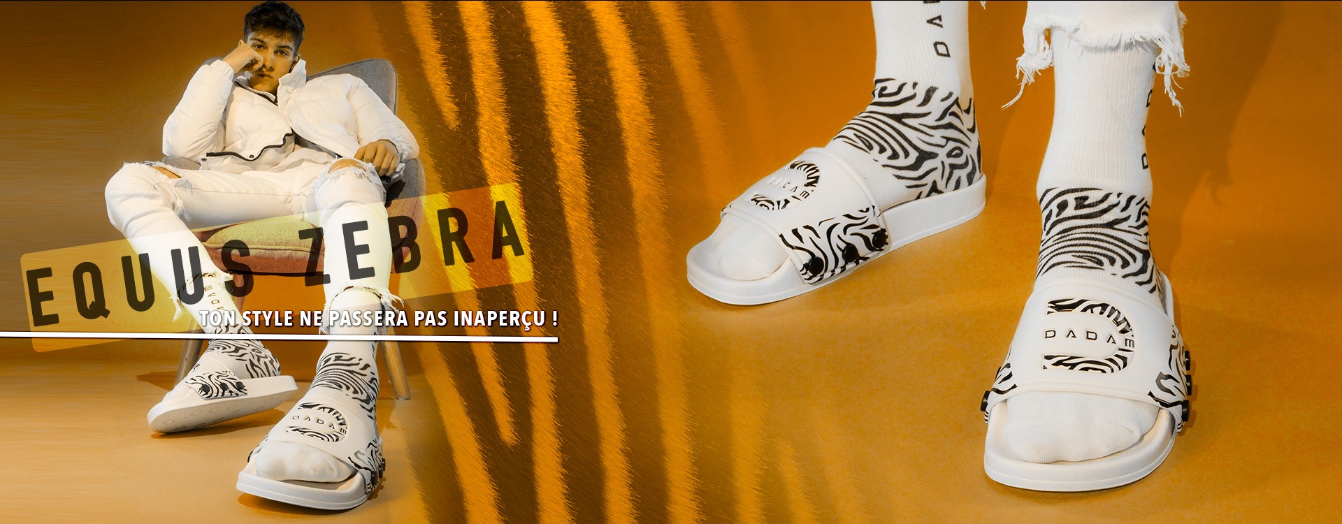 Zebra